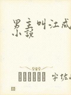 男主叫江成屹的小说