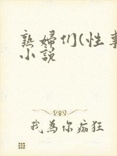 熟妇们(性事)小说封面