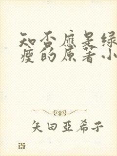 知否应是绿肥红瘦的原著小说