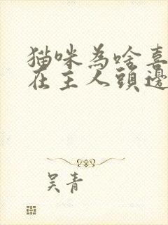 猫咪为啥喜欢睡在主人头边封面