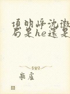 项明峥沈徽林结局是he还是be