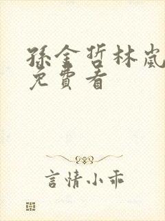 孙金哲林岚小说免费看