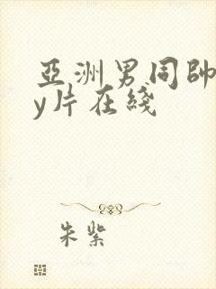 亚洲男同帅gay片在线封面