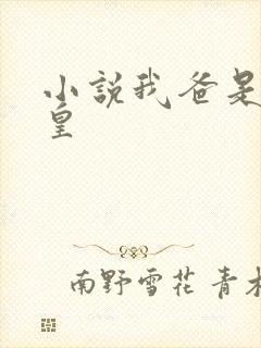 小说我爸是秦始皇