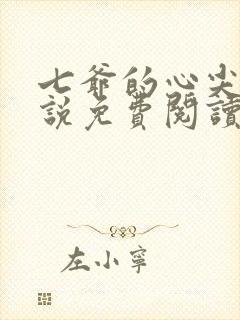 七爷的心尖宠小说免费阅读全文