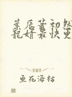 叶辰萧初然上门龙婿最快更新