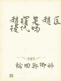 赵曙是赵匡胤的后代吗封面