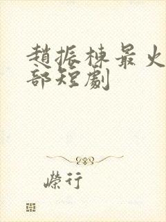 赵振栋最火10部短剧