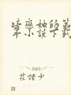 暗恋她的第十一年小说下载