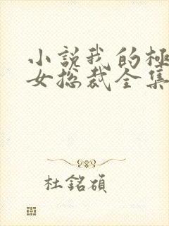 小说我的极品美女总裁全集封面