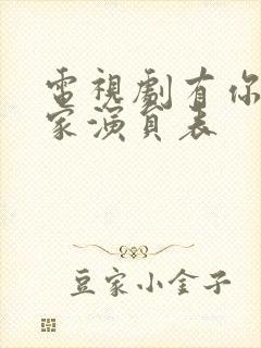 电视剧有你才有家演员表封面