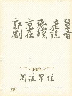 郭京飞老舅电视剧在线观看封面