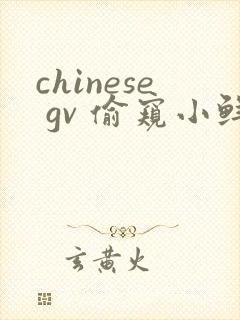 chinese gv 偷窥小鲜肉