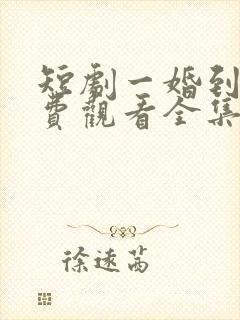 短剧一婚到底免费观看全集高清