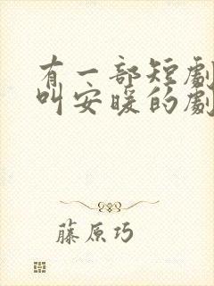 有一部短剧女主叫安暖的剧名封面