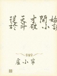 从天才开始无敌于斗破 小说