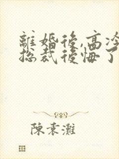 离婚后,高冷女总裁后悔了小说