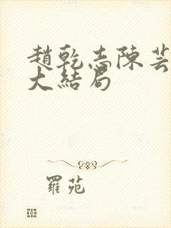 赵乾志陈芸小说大结局封面