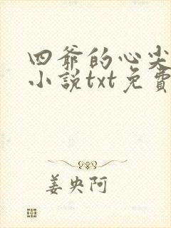 四爷的心尖宠妃小说txt免费下载