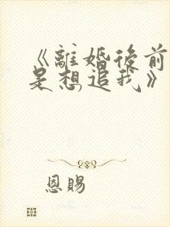 《离婚后前夫总是想追我》