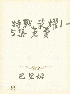 特战荣耀1—45集免费