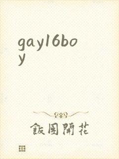gay16boy封面