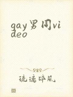 gay男同video