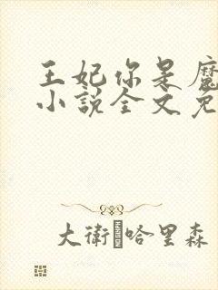 王妃你是魔鬼吗小说全文免费阅读