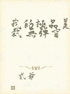 我的极品美女总裁 无弹窗