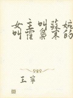 女主叫苏婉男主叫霍枭寒的小说