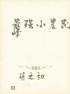 最强小农民沈晓峰