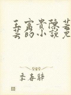 王富贵陈芸和陈芸的小说免费阅读