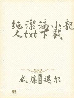 纯洁滴小龙捞尸人txt下载