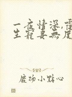 一夜情深,霍先生宠妻无度 小说