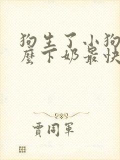 狗生了小狗吃什么下奶最快最多