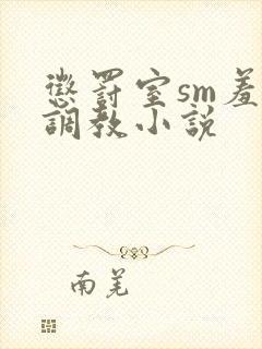 惩罚室sm羞刑调教小说