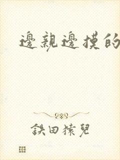 边亲边摸的视频