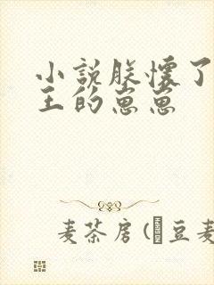 小说朕怀了摄政王的崽崽