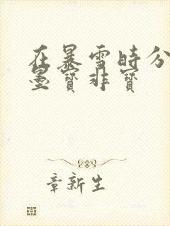 在暴雪时分小说墨宝非宝