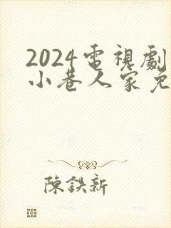 2024电视剧小巷人家免费播放