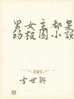 男女主都是学霸的校园小说