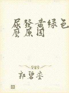 尿发黄绿色是什么原因封面