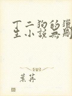 丁二狗的猎艳人生小说无删减小说