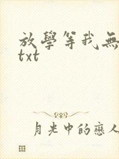 放学等我无删减txt