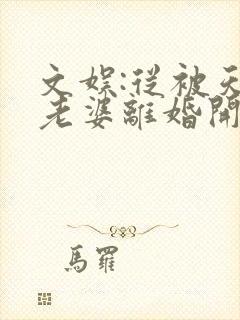 文娱:从被天后老婆离婚开始阅读全文全文