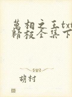 万相之王txt精校全集下载封面