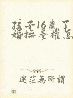 孩子16岁了离婚抚养权怎么归属封面