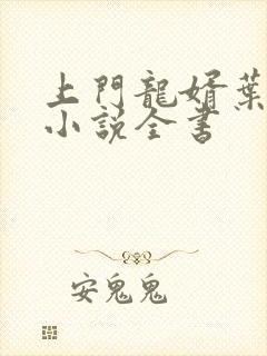 上门龙婿叶辰的小说全书