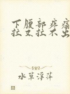 下腹部疼痛就想拉又拉不出来