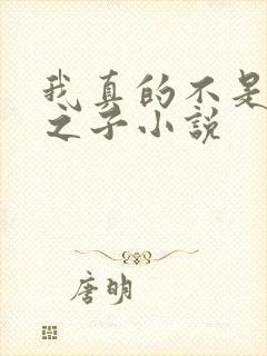 我真的不是气运之子小说